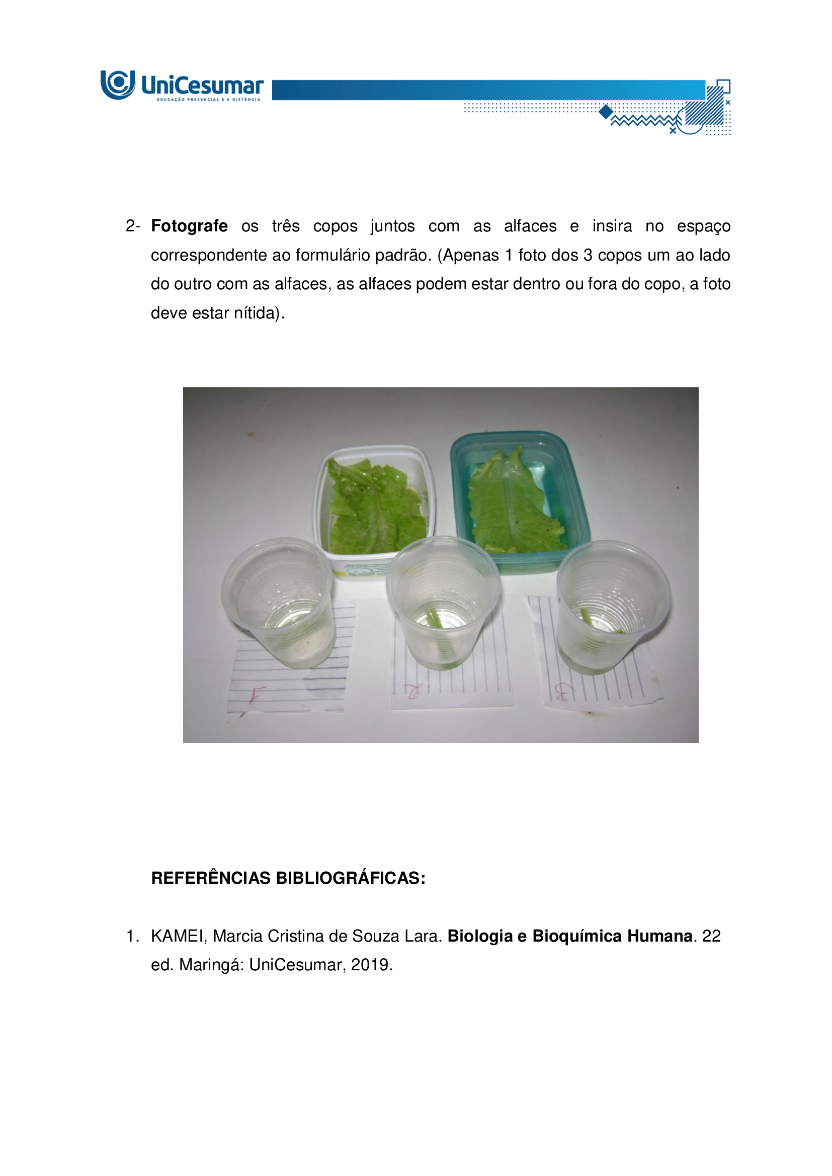 Atividade mapa biologia e bioquuimica humana