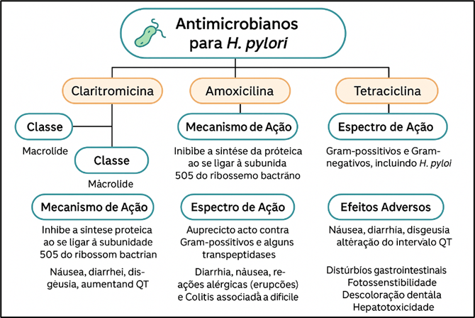 Mapa: Farmacologia Aplicada 52/2025