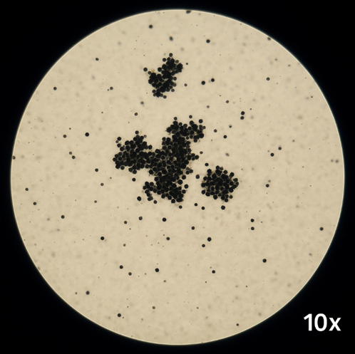 Resposta Mapa Imunologia Clínica Módulo 52/2025