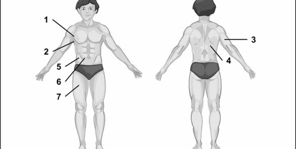 Resposta: Resposta Mapa: Medidas e Avaliação em Educação Física 53/2025