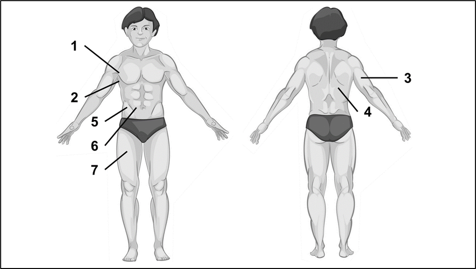 Resposta: Resposta Mapa: Medidas e Avaliação em Educação Física 53/2025