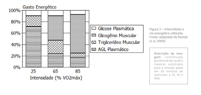 Fonte: PAGAN, Bruno Guilherme Morais; PAGAN, Daniela Aparecida Capelato. Nutrição Esportiva. IndaialSC: Arqué, 2023. (Página 32). Considerando as vias energéticas ao longo do treinamento, analise as afirmações abaixo: I. A 25% do VO2 máx. a principal via de energização em nosso corpo é a de AGL plasmático. II. A 65% do VO2 máx. a via energética mais utilizada é a de glicogênio muscular. III. A 85% do VO2 máx. a principal fonte de energia para o músculo em atividade é proveniente de carboidratos. IV. Quando estamos em exercício físico mais intenso, ou seja, maior % VO2, a principal demanda energética é proveniente dos carboidratos.