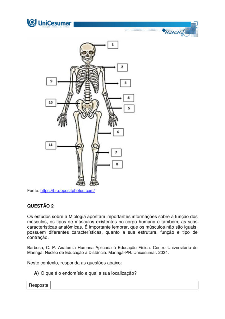 
MAPA – Material de Avaliação Prática da Aprendizagem

Acadêmico: Normas Acadêmicas	R.A.
Curso: Bacharelado Em Educação Física
 Disciplina: Anatomia Humana Aplicada à Educação Física
Valor da atividade: 5,0	Prazo:

Instruções para Realização da Atividade
1.	Todos os campos acima deverão ser devidamente preenchidos;
2.	É obrigatória a utilização deste formulário para a realização do MAPA;
3.	Esta é uma atividade individual. Caso identificado cópia de colegas, o trabalho de ambos sofrerá decréscimo de nota;
4.	Utilizando este formulário, realize sua atividade, salve em seu computador, renomeie e envie em forma de anexo;
5.	Formatação exigida para esta atividade: documento Word, Fonte Arial ou Times New Roman tamanho 12, Espaçamento entre linhas 1,5, texto justificado; 
6.	Ao utilizar quaisquer materiais de pesquisa referencie conforme as normas da ABNT;
7.	Na Sala do Café do ambiente virtual da disciplina você encontrará orientações importantes para elaboração desta atividade. Confira!
8.	Critérios de avaliação: Utilização do template; Atendimento ao Tema; Constituição dos argumentos e organização das Ideias; Correção Gramatical e atendimento às normas ABNT.
9.	Procure argumentar de forma clara e objetiva, de acordo com o conteúdo da disciplina.


Em caso de dúvidas, entre em contato com seu Professor Mediador.

Bons estudos!






QUESTÃO 1
 
A prática de exercícios físicos envolve a complexa interação entre o sistema muscular e o esquelético. Neste sentido, faz-se necessário compreender a anatomia óssea e muscular, para então, entender a mecânica do movimento e prevenir lesões durante a prática de movimentos em geral.

GUYTON, Arthur C.; HALL, John E. Tratado de fisiologia médica. 13. ed. Rio de Janeiro: Elsevier, 2017.

A partir deste contexto, observe a imagem abaixo e identifique o que se pede:


QUESTÃO 2

Os estudos sobre a Miologia apontam importantes informações sobre a função dos músculos, os tipos de músculos existentes no corpo humano e também, as suas características anatômicas. É importante lembrar, que os músculos não são iguais, possuem diferentes características, quanto a sua estrutura, função e tipo de contração.

Barbosa, C. P. Anatomia Humana Aplicada à Educação Física. Centro Universitário de Maringá. Núcleo de Educação à Distância. Maringá-PR. Unicesumar. 2024.

Neste contexto, responda as questões abaixo:


QUESTÃO 3

No treinamento esportivo de alta intensidade ou até mesmo durante as aulas de Educação Física Escolar, é muito comum lesões em articulações sinoviais, por estarem envolvidas a movimentos específicos do esporte, como um chute, um arremesso, um drible, dentre outros. As articulações sinoviais possuem características anatômicas específicas e também são divididas em vários tipos, de acordo com suas características estruturais, sendo estas: do tipo plana, do tipo gínglimo, trocoides, elipsoides, selares e esferoideas.

Barbosa, C. P. Anatomia Humana Aplicada à Educação Física. Centro Universitário de Maringá. Núcleo de Educação à Distância. Maringá-PR. Unicesumar. 2024.

Considerando as articulações sinoviais, seus diferentes tipos e suas características anatômicas, responda as seguintes questões:

a) Articulação sinovial do tipo Plana: Quais são as características anatômicas desse tipo de articulação? Quais são as articulações do tipo planas? 

Resposta	
Características anatômicas

- Superfícies articulares planas ou levemente curvas: permitem principalmente movimentos de deslizamento entre os ossos, com amplitude pequena e não axial. 
- Elementos sinoviais completos: cápsula articular, membrana sinovial e líquido sinovial, com cartilagem hialina cobrindo as superfícies — típicos de toda articulação sinovial.
- Estabilidade por ligamentos e cápsula firme: restringem a mobilidade, favorecendo ajustes finos de posição e distribuição de carga.

Exemplos de articulações do tipo plana

- Intercarpais e intertarsais (entre ossos do carpo e do tarso).
- Acromioclavicular (entre clavícula e acrômio).
- Zigapofisárias (facetas articulares das vértebras).  

Essas articulações favorecem ajustes de posicionamento e estabilidade com movimentos de deslizamento limitado, essenciais em gestos esportivos que exigem precisão e controle articular.

b) Articulação sinovial do tipo Gínglimo: Quais são as características anatômicas desse tipo de articulação? Quais são as articulações do tipo Gínglimo?

Resposta	Características anatômicas

- Também chamada de articulação em dobradiça
- Superfícies articulares: uma convexa (em forma de polia ou tróclea) e outra côncava, que se encaixam de forma semelhante a uma dobradiça.

- Movimento: é uniaxial, permitindo principalmente flexão e extensão no plano sagital, em torno de um eixo transversal.
- Estabilidade: garantida por cápsula articular e ligamentos colaterais, que limitam movimentos laterais e mantêm o alinhamento.
- Revestimento: cartilagem hialina recobre as superfícies ósseas, e o líquido sinovial lubrifica, reduzindo o atrito.

Exemplos de articulações gínglimo

- Articulação úmero-ulnar (cotovelo) 
- Articulações interfalângicas: entre as falanges dos dedos das mãos e dos pés.
- Articulação talocrural (tornozelo)
- Articulação do joelho (tibiofemoral): considerada um gínglimo modificado, pois além de flexão e extensão, permite pequena rotação acessória.

c) Articulação sinovial do tipo Trocoides: Quais são as características anatômicas desse tipo de articulação? Quais são as articulações do tipo Trocoides?

Resposta	Características anatômicas

- Também chamada de articulação em pivô
- Superfícies articulares: um osso em forma de pivô cilíndrico (ou processo ósseo arredondado) gira dentro de um anel osteoligamentar formado por outro osso e ligamentos.

- Movimento: é uniaxial, permitindo rotação em torno de um único eixo longitudinal
- Revestimento: as superfícies são cobertas por cartilagem hialina, e a cavidade articular contém líquido sinovial, reduzindo atrito.
- Estabilidade: garantida pelo encaixe ósseo e pelos ligamentos que formam o anel articular.

Exemplos de articulações trocoides

- Atlantoaxial mediana: permitindo a rotação da cabeça (como o gesto de “não”).
- Radioulnar proximal: entre a cabeça do rádio e a incisura radial da ulna, permitindo a pronação e supinação do antebraço.
- Radioulnar distal: entre a extremidade distal do rádio e da ulna, também envolvida nos movimentos de rotação do antebraço.

d) Articulação sinovial do tipo Elipsoides: Quais são as características anatômicas desse tipo de articulação? Quais são as articulações do tipo Elipsoides?

Resposta	Características anatômicas

- Superfícies articulares: uma superfície oval/condilar convexa articula-se com uma cavidade elíptica côncava

- Movimento: é uma articulação biaxial, permitindo:
- Flexão e extensão (plano sagital).
- Abdução e adução (plano frontal).
- A combinação desses movimentos gera a circundução.
- Rotação verdadeira: não ocorre, ou é muito limitada.
- Estabilidade: garantida pelo formato elipsoide e por ligamentos que controlam a amplitude.
- Revestimento: superfícies cobertas por cartilagem hialina e lubrificadas por líquido sinovial, como em todas as articulações sinoviais.

Exemplos de articulações elipsoides

- Radiocárpica (punho): entre o rádio e os ossos do carpo (escafoide, semilunar e piramidal).
- Metacarpofalângicas (MCP): entre metacarpos e falanges proximais (base dos dedos da mão).
- Metatarsofalângicas (MTP): entre metatarsos e falanges proximais (base dos dedos do pé).
- Atlanto-occipital: entre os côndilos occipitais e as cavidades superiores do atlas (C1), permitindo o gesto de “sim” (flexão/extensão da cabeça).

e) Articulação sinovial do tipo Selares: Quais são as características anatômicas desse tipo de articulação? Quais são as articulações do tipo Selares?

Resposta	Características anatômicas

- Superfícies articulares: ambas são côncavo-convexas, ou seja, cada osso tem uma superfície que é côncava em uma direção e convexa na outra, encaixando-se como uma sela e cavaleiro.

- Movimento: é uma articulação biaxial, permitindo:
- Flexão e extensão (plano sagital)
- Abdução e adução (plano frontal)
- A combinação desses movimentos gera circundução
- Rotação verdadeira: não ocorre, mas há grande liberdade de movimento.
- Estabilidade: boa congruência entre as superfícies, reforçada por ligamentos e cápsula articular.
- Revestimento: cartilagem hialina nas superfícies e líquido sinovial na cavidade articular.

Exemplos de articulações selares

- Carpometacarpiana do polegar (1º dedo): entre o trapézio e o 1º metacarpo – permite a oposição do polegar, essencial para a preensão.
- Esternoclavicular: entre o esterno e a extremidade medial da clavícula – permite movimentos do ombro em várias direções.
- Calcaneocuboide (em alguns autores): considerada selar por sua geometria funcional.

f) Articulação sinovial do tipo Esferoideas: Quais são as características anatômicas desse tipo de articulação? Quais são as articulações do tipo Esferoideas? 

Resposta	Características anatômicas

- Superfícies articulares: uma superfície esférica convexa (cabeça do osso) encaixa-se em uma cavidade côncava profunda (soquete), permitindo grande liberdade de movimento.

- Movimento: é uma articulação multiaxial, permitindo movimentos em três eixos:
- Flexão e extensão
- Abdução e adução
- Rotação interna e externa
- A combinação desses movimentos gera circundução
- Amplitude: é o tipo de articulação sinovial com maior amplitude de movimento.
- Estabilidade: depende da profundidade da cavidade, da cápsula articular, dos ligamentos e da musculatura envolvente.
- Revestimento: cartilagem hialina nas superfícies articulares e líquido sinovial na cavidade para lubrificação e nutrição.

Exemplos de articulações esferoides

- Glenoumeral (ombro): entre a cabeça do úmero e a cavidade glenoidal da escápula.
- Coxofemoral (quadril): entre a cabeça do fêmur e o acetábulo do osso do quadril.


g) Quais movimentos, as articulações sinoviais podem apresentar?

Resposta	Movimentos das articulações sinoviais

As articulações sinoviais permitem uma ampla variedade de movimentos graças à presença de cavidade articular, cartilagem hialina, membrana sinovial, ligamentos e músculos que as mobilizam.

Movimentos principais
- Flexão — diminuição do ângulo entre segmentos; ex.: flexão do cotovelo.
- Extensão — aumento do ângulo entre segmentos; ex.: extensão do joelho.
- Abdução — afastamento de uma estrutura do plano mediano do corpo; ex.: abdução do braço.
- Adução — aproximação ao plano mediano; ex.: adução do braço.
- Rotação — giro de um segmento em torno do seu eixo longitudinal; inclui rotação medial (interna) e rotação lateral (externa); ex.: rotação do ombro.
- Circundução — movimento circular combinado (flexão + abdução + extensão + adução); ex.: movimento do ombro ou quadril.
- Pronação e supinação — rotação do antebraço que posiciona a palma para baixo (pronação) ou para cima (supinação); ex.: articulações radioulnars proximal/distal.
- Inversão e eversão — movimentos do pé na articulação subtalar que giram a planta medialmente (inversão) ou lateralmente (eversão).
- Deslizamento — pequenos movimentos de translação entre superfícies planas; ex.: articulações intercarpais.
- Elevação e depressão — elevar (subir) ou deprimir (descer) uma parte do corpo; ex.: elevação e depressão da escápula.
- Protrusão (protração) e retração — deslocamento anterior e posterior de uma estrutura; ex.: retração da mandíbula ou escápula.
- Oposição — movimento complexo do polegar que o aproxima da ponta dos outros dedos.




Referências: 

Barbosa, C. P. Anatomia Humana Aplicada à Educação Física. Centro Universitário de Maringá. Núcleo de Educação à Distância. Maringá-PR. Unicesumar. 2024.

RESUMO de articulações sinoviais. Sanarmed, 2025. Disponível em: https://sanarmed.com/resumo-de-articulacoes-sinoviais/. Acesso em: 6 out .2025.

TIPOS de Articulações Sinoviais: Estrutura, Funções e Relevância Clínica. Médicos do futuro, 2025. Disponível em: https://medicosdofuturo.com.br/2025/08/19/tipos-de-articulacoes-sinoviais-estrutura-funcoes-e-relevancia-clinica/. Acesso em: 6 out. 2025.
